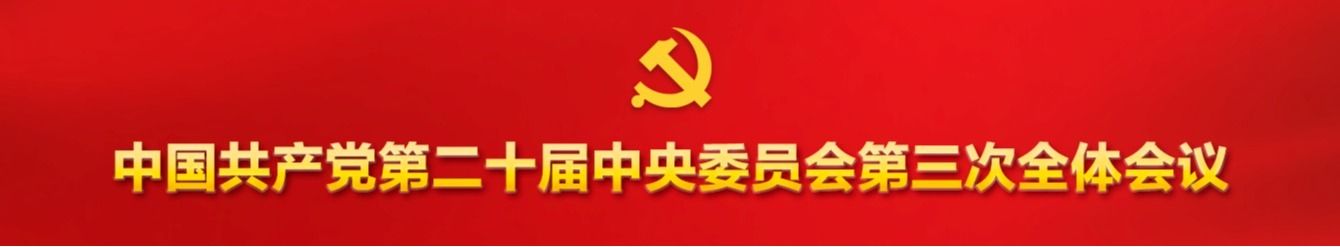 中国共产党第二十届中央委员会第三次全体会议